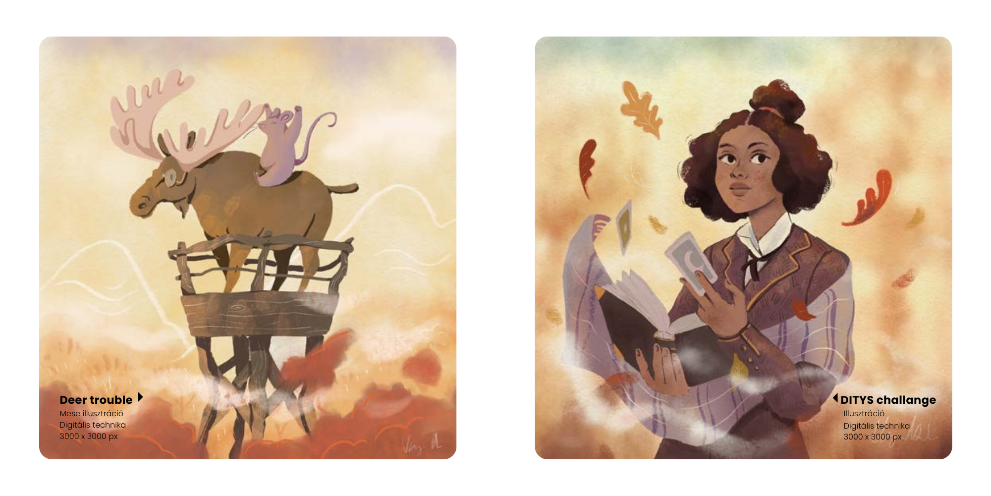 Illusztrációk - 23