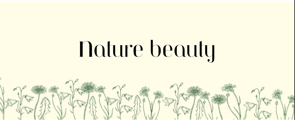 Nature Beauty - Screenshot 2025-10-13 at 8.44.58